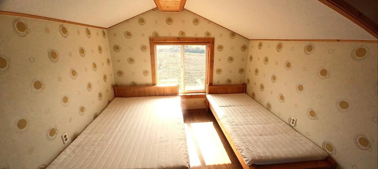 Tree House Guesthouse Чеджу Екстериор снимка