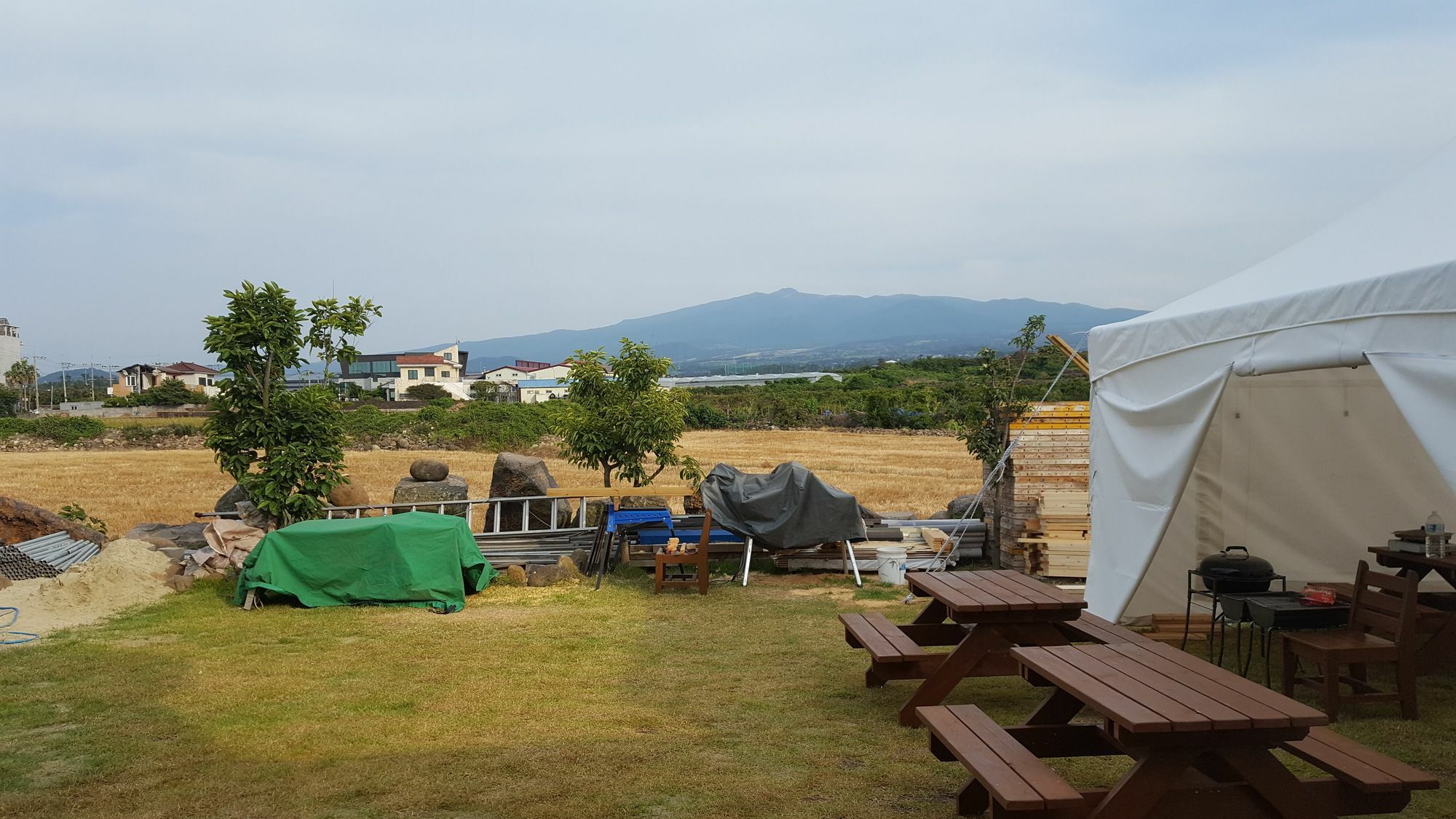 Tree House Guesthouse Чеджу Екстериор снимка